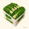 Swiss Chard 1 Pallet 75 Boxes (12 Bunches)