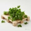 Parsley 1 Pallet 75 boxes