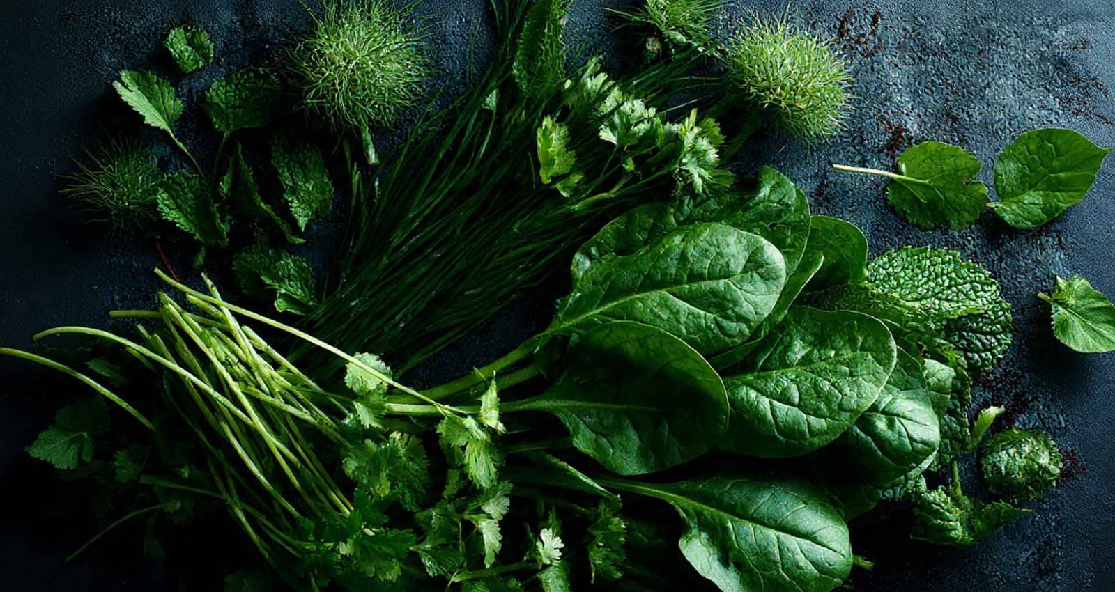 Village 2 Agricola Shop