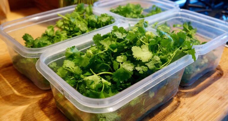How to Store Fresh Herbs to Maintain Freshness Longer