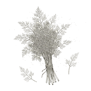 Village-2-Agricola-Contact