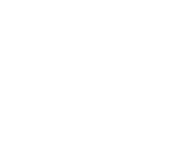 Village 2 Agricola Logo