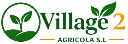 Village-To-Agricola